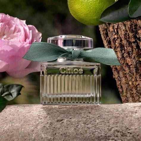 chloe rose naturelle|chloe fragrantica.